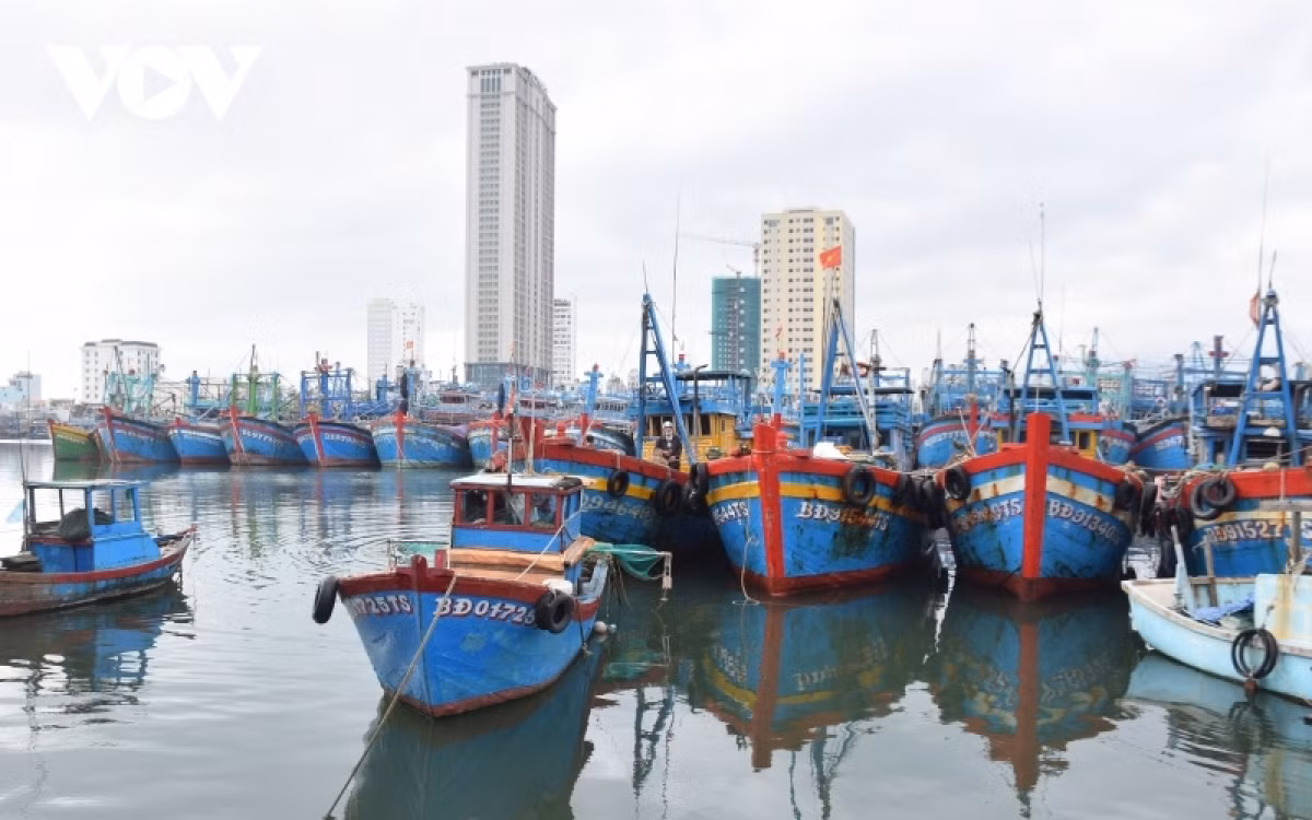 All fishing vessels will be requested to cruise ashore or seek nearby storm shelters before Rai moves closer to the central coast slated for December 19.&nbsp;