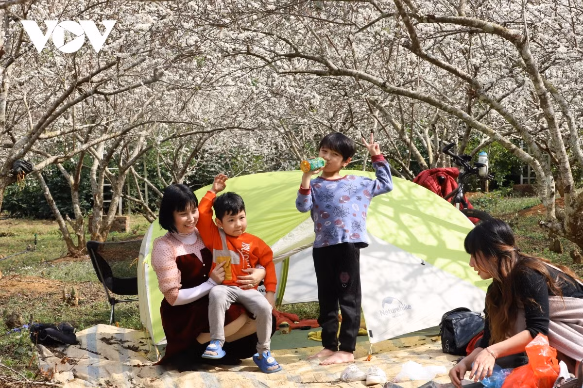 Many guests are able to see peach blossoms begin the process of blooming early.