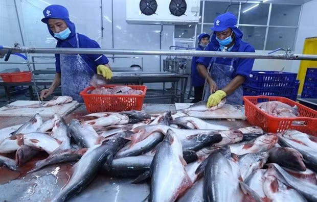 tra fish exports expected to beat target picture 1