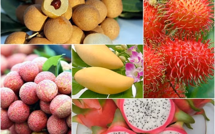 Vietnamese fruit exports to US market expected to grow by year end ảnh 1
