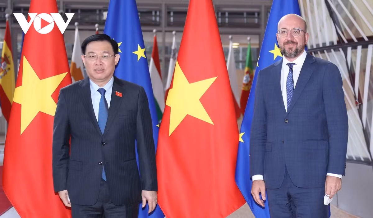 Vietnam, EP aspire to augment all-around cooperation ảnh 1 National Assembly (NA) Chairman Vuong Dinh Hue (L) meets with President of the European Parliament David Sassoli