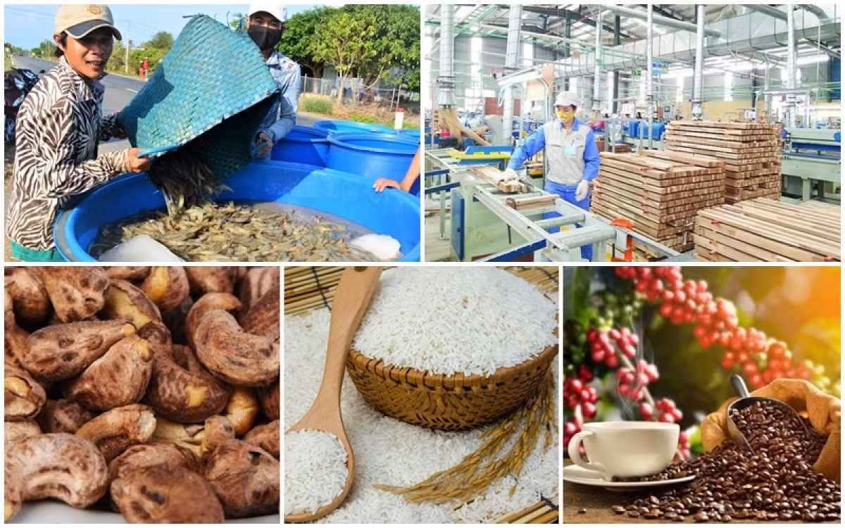 Boosting agricultural exports to US based on standardised production ảnh 1