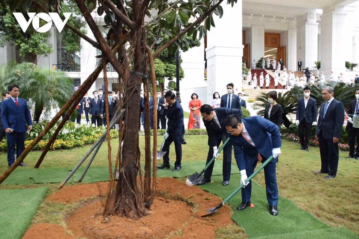 After the official welcoming ceremony, the two leaders plant memorial trees in the compound of the Government Office.