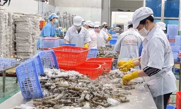 efforts made to boost seafood cooperation between vietnam, india picture 1 efforts made to boost seafood cooperation between vietnam, india picture 1