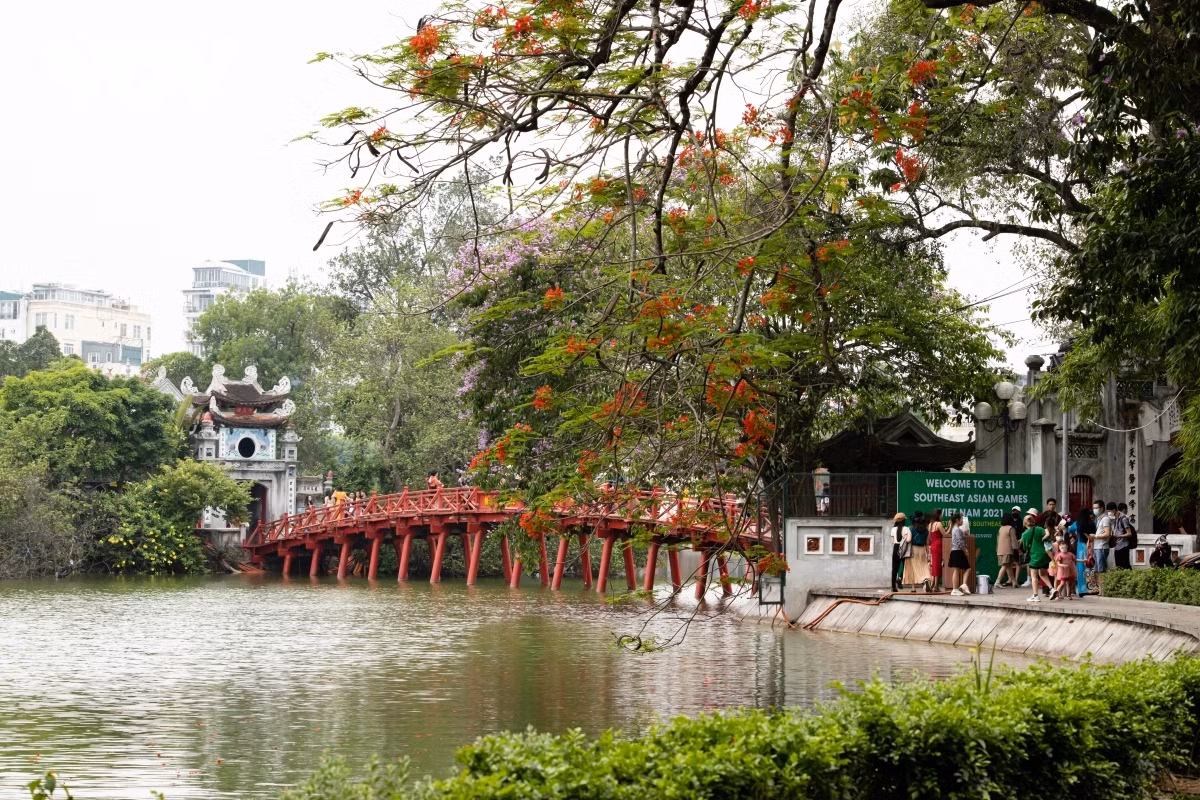 Hanoi streets adorned with red flamboyant blossoming ảnh 7