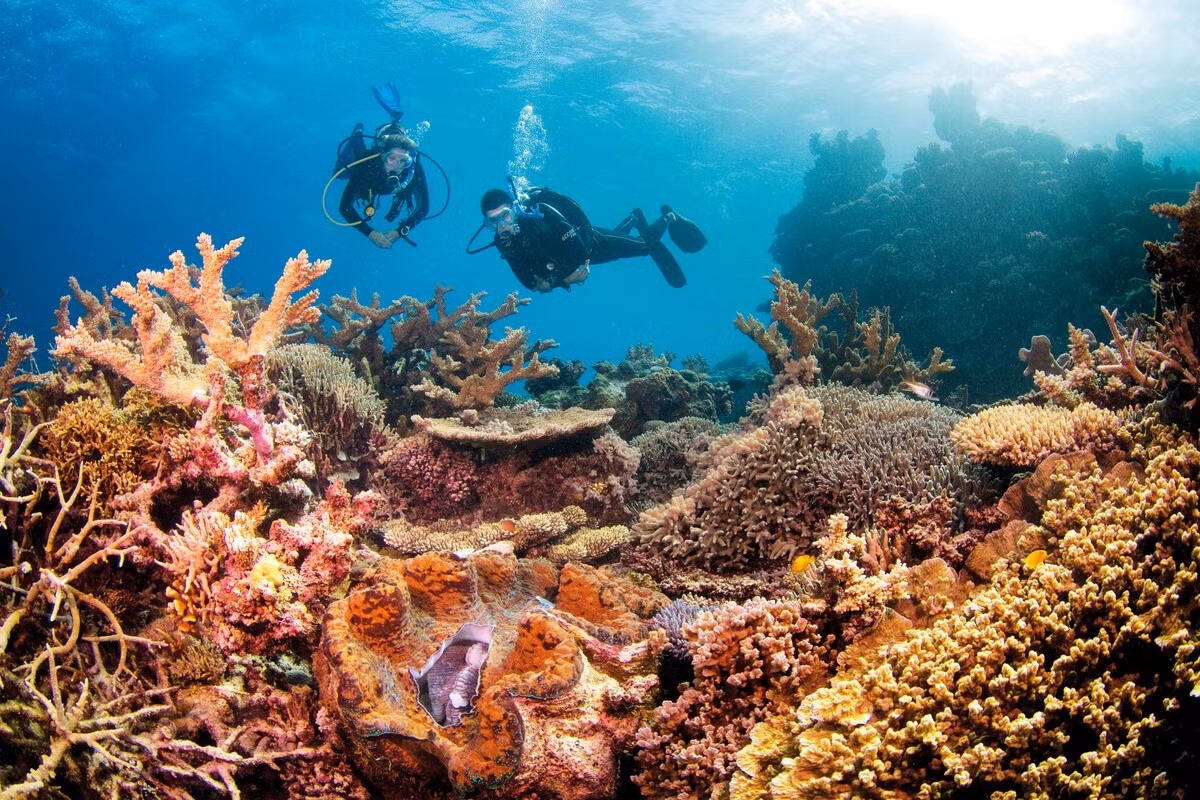 The Great Barrier Reef in Australia. (Photo:&nbsp;Aussie Specialist Program)