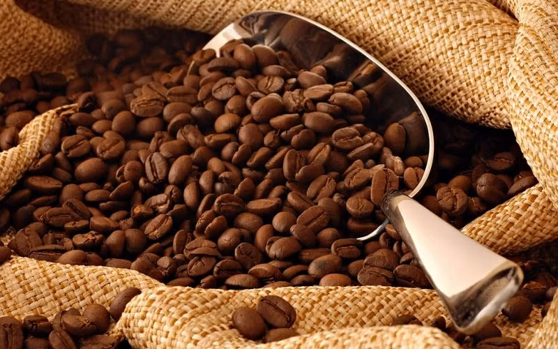 Coffee sector to boost exports on EVFTA incentives ảnh 1 Coffee sector to boost exports on EVFTA incentives ảnh 1