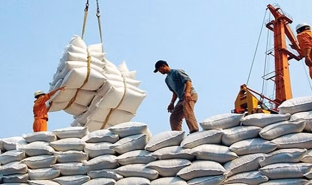 Rice is one of Vietnam's major exports to African countries.