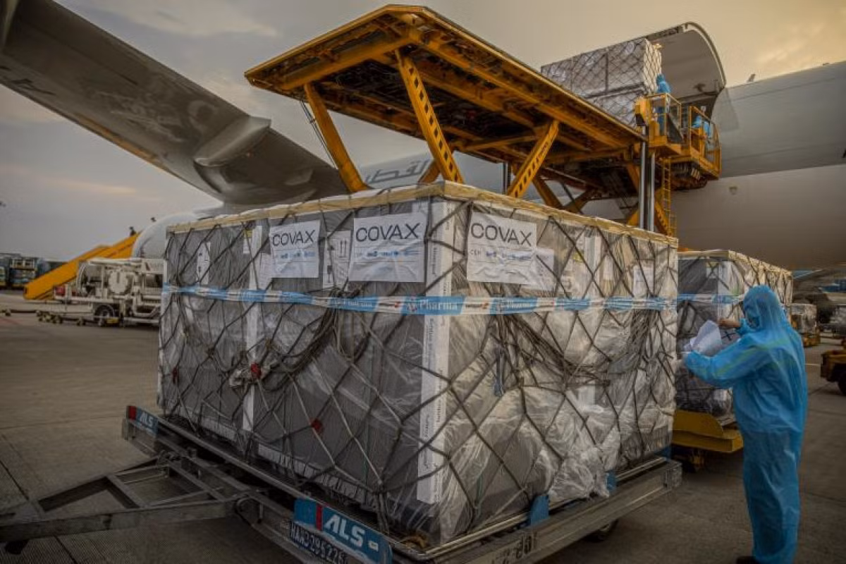France donates 1.4 million more doses of COVID-19 vaccine to Vietnam ảnh 1 A batch of the Pfizer COVID-19 vaccine has arrived in Vietnam via the COVAX Facility.