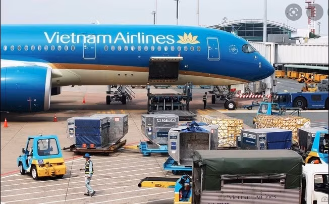 Nikkei Asia: Vietnamese air freight industry accelerates despite COVID-19 pandemic ảnh 1