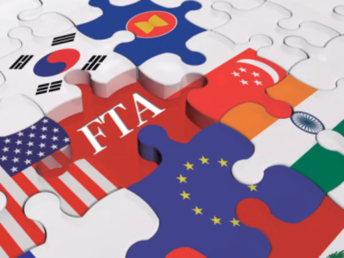 Vietnam takes advantage of FTAs to enjoy trade surplus with markets globally ảnh 1 Vietnam takes advantage of FTAs to enjoy trade surplus with markets globally ảnh 1