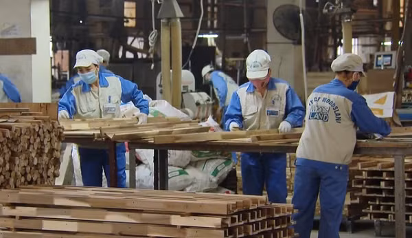 RoK increases imports of Vietnamese wooden furniture ảnh 1 RoK increases imports of Vietnamese wooden furniture ảnh 1