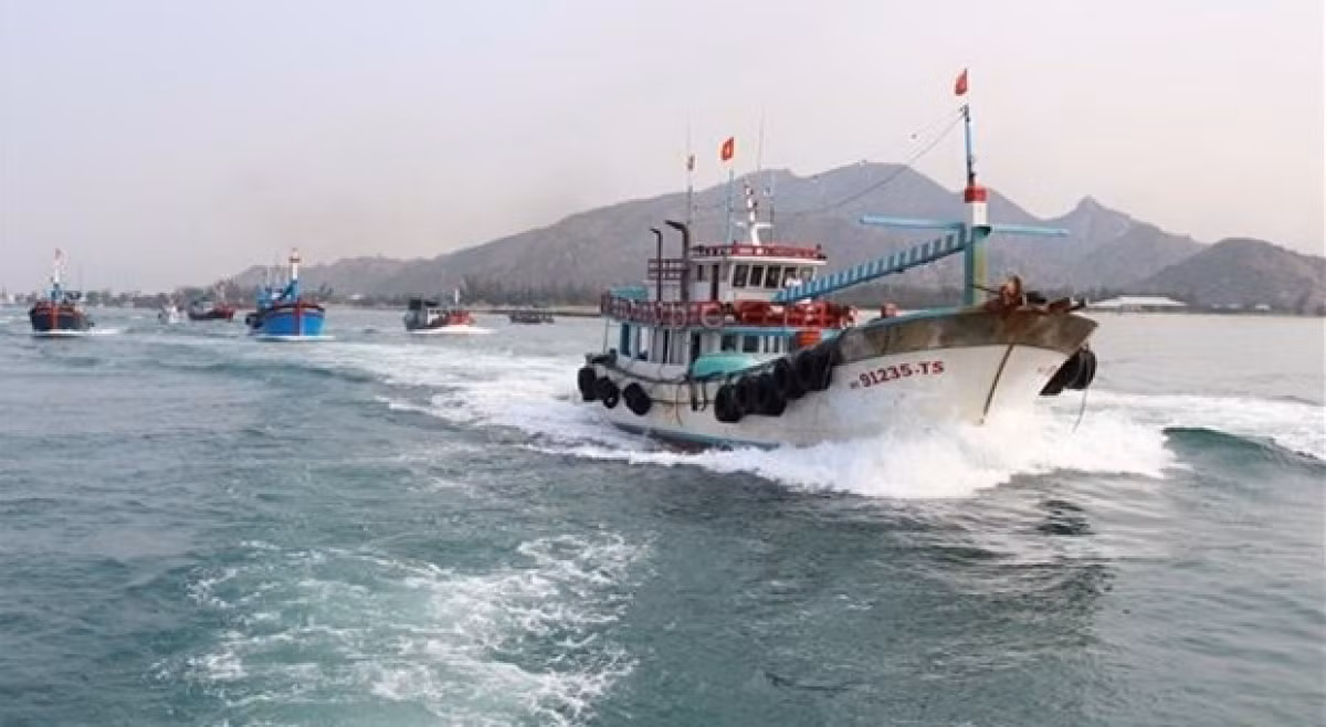 Vietnam aims to remove EC’s warning against IUU fishing next year ảnh 1