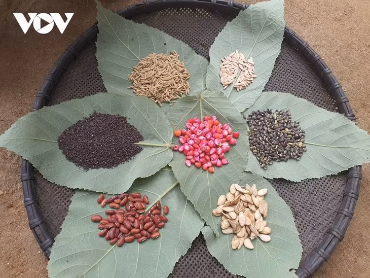 The Red Dao prepare seeds to roast.