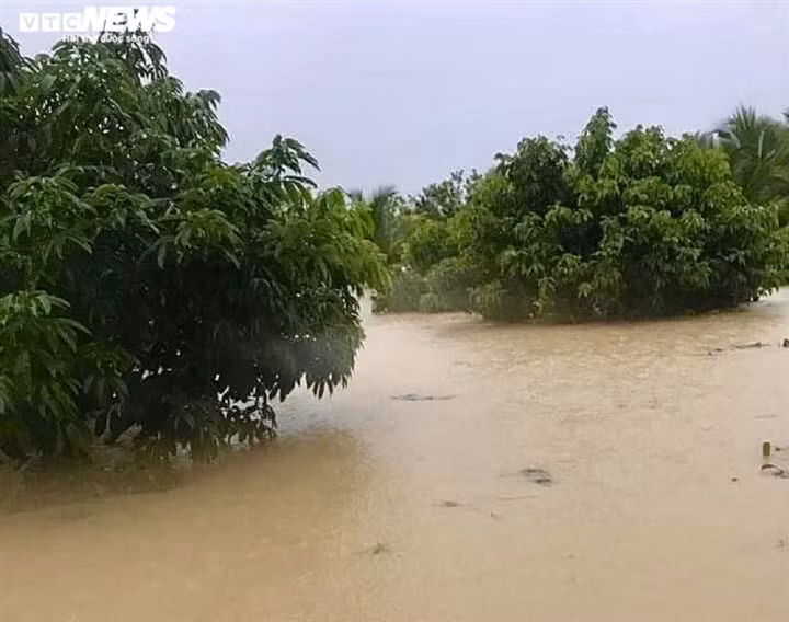 M’đrắk district endures heavy rain for several days, having a severely negative impact on the daily lives of local people.
