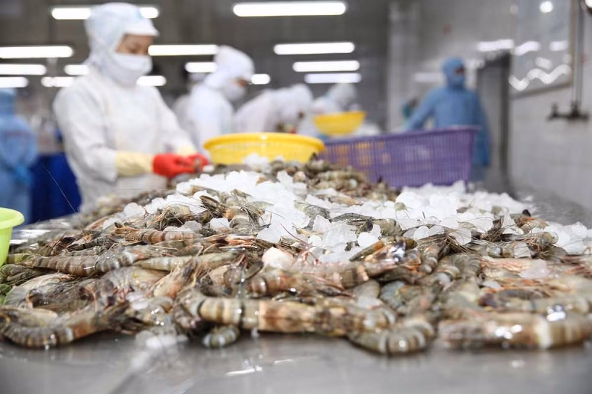 Shrimp exports set to hit over US$4 billion this year ảnh 1