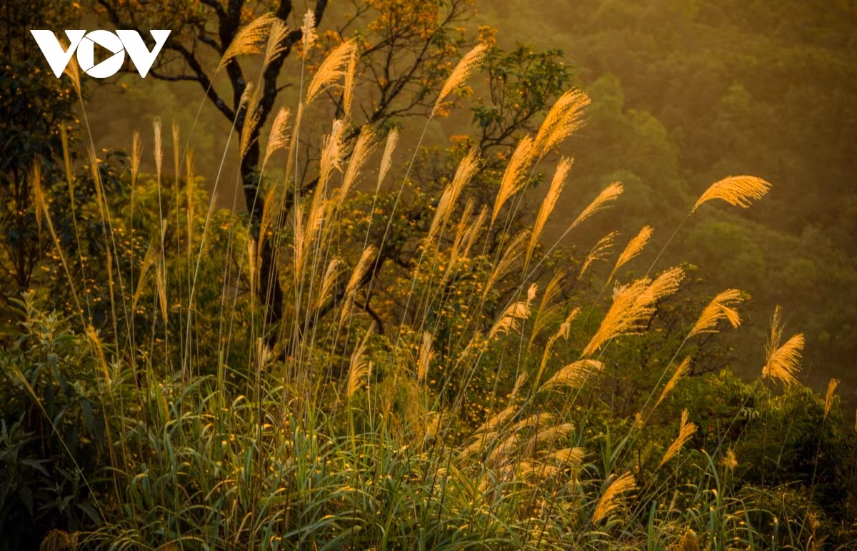 Sunset in northern mountainous areas ảnh 5