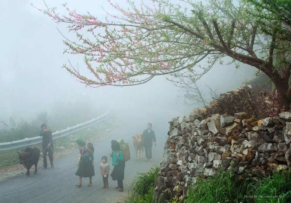 Ha Giang province is one of the first places in the nation to endure a cold spell during the autumn.
