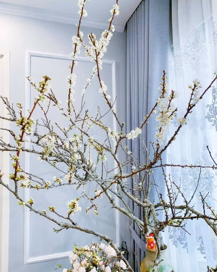 The house looks more beautiful if it is adorned with wild pear flowers.