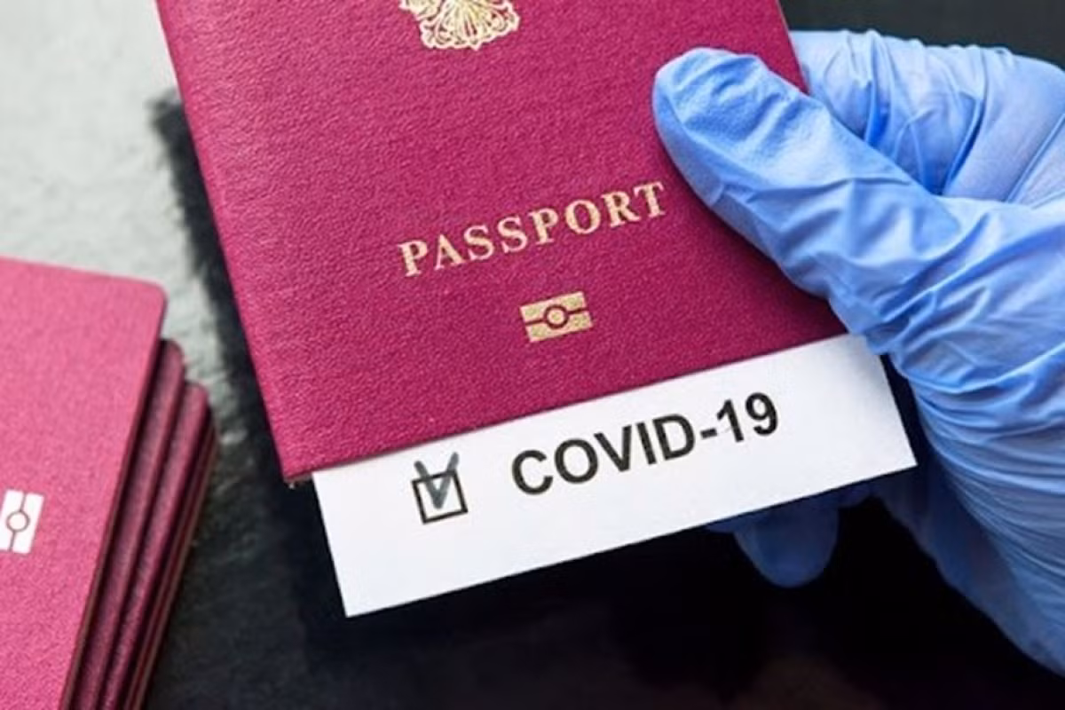 Twenty countries recognise Vietnamese vaccine passports ảnh 1 Twenty countries recognise Vietnamese vaccine passports ảnh 1