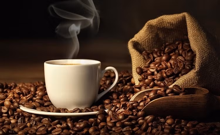 Coffee exports to France drop during first half of year ảnh 1 Coffee exports to France drop during first half of year ảnh 1