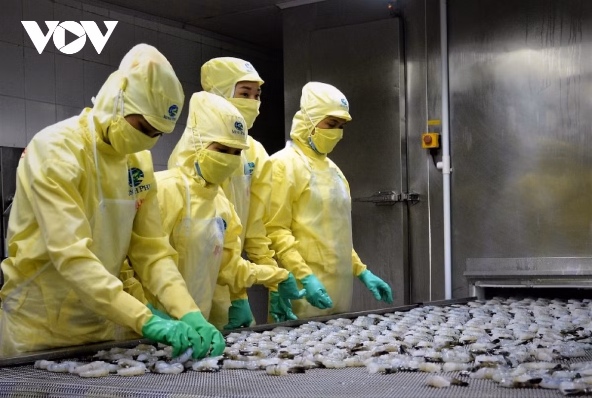 Positive outlook for shrimp exports in 2022 ảnh 1