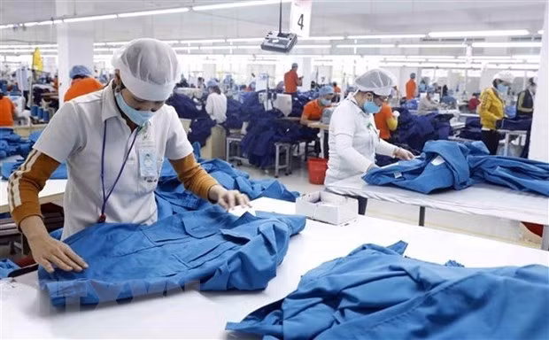 Business forum talks decade of sustainable development ảnh 1
