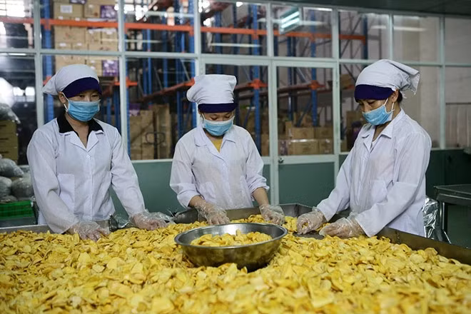 Agricultural sector urged to devise concrete strategies to utilize RCEP ảnh 1 A production line at domestic dried fruit and vegetable producer Vinamit