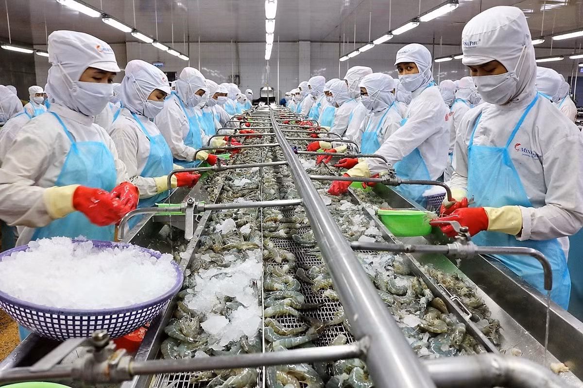 Shrimp exporters eye over US$4 billion in export in 2021 ảnh 1