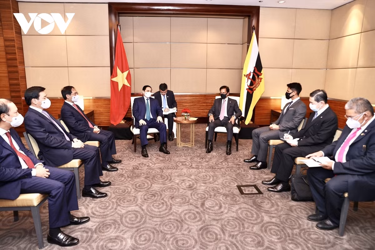 Vietnam, Brunei to expand all-round cooperation ảnh 2 Vietnam, Brunei to expand all-round cooperation ảnh 2