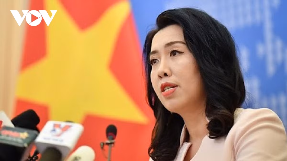 FM spokesperson affirms Vietnamese stance on China's fishing ban ảnh 1