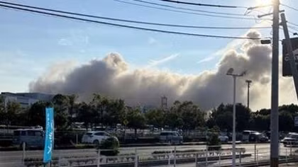 One Vietnamese worker killed in Japan earthquake