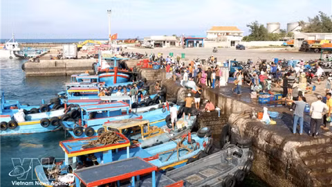 Phu Quy special zone leverages tourism, fisheries for sustainable development