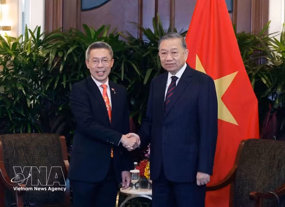 General Secretary of the Communist Party of Vietnam Central Committee and State President To Lam (right) and Jonathan Yap, CEO of CapitaLand Development, at their meeting on May 30 (Photo: VNA)