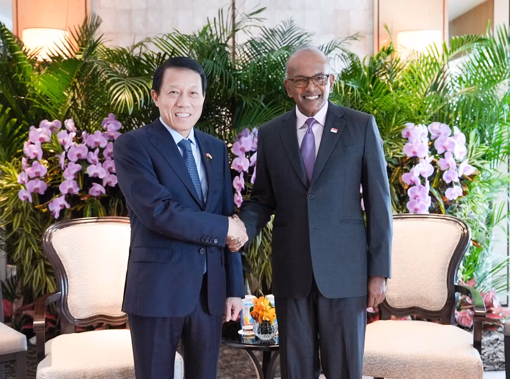 Minister Luong Tam Quang and Minister K. Shanmugam.
