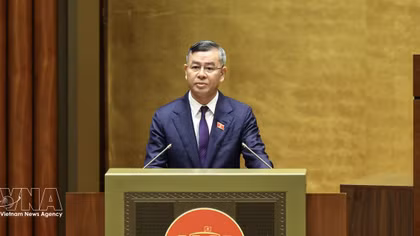 Lawmakers discuss customs reform linked to digital transformation, risk management