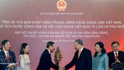 Vietnamese community in Singapore asked to continue serving as bridge for bilateral friendship