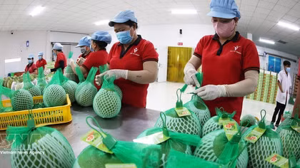 Vietnam races to achieve 74-billion-USD target from agro-forestry-aquatic exports