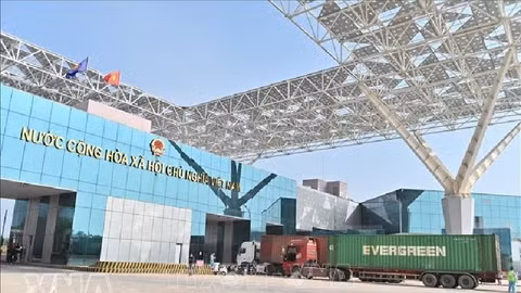 Vietnam–China crossings see spike in ASEAN fresh produce