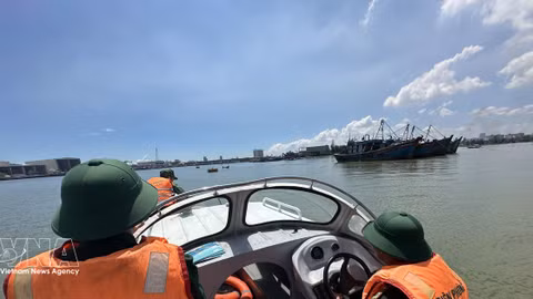 Da Nang restructures fishing fleet for sustainable fisheries, IUU 'yellow card' lifting