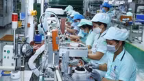 Young overseas Vietnamese prove crucial to homeland’s innovation