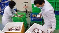 2,000 units of blood delivered to Ho Chi Minh City