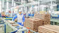 Positive signs of Vietnamese wood exports to US