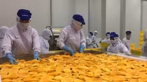 US increases imports of processed fruit and vegetables from Vietnam