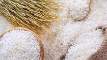 Enterprises urged to strictly follow standards of imported markets: SPS Vietnam