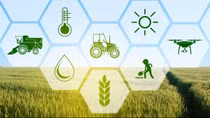 Vietnam towards suitable digital transformation in agriculture