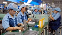 Firms given recommendations to develop sustainably, realise dual goals