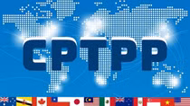Vietnam willing to share information with China in joining CPTPP
