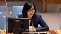 Vietnam calls for promotion of talks and trust building in Syria