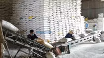 Over 130,000 tonnes of rice allocated to 24 pandemic-hit localities